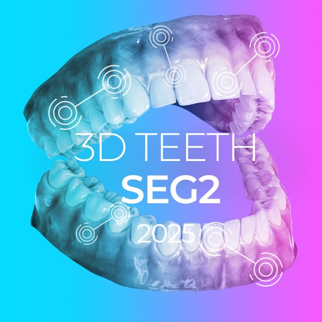 3DTeethSeg2 Logo